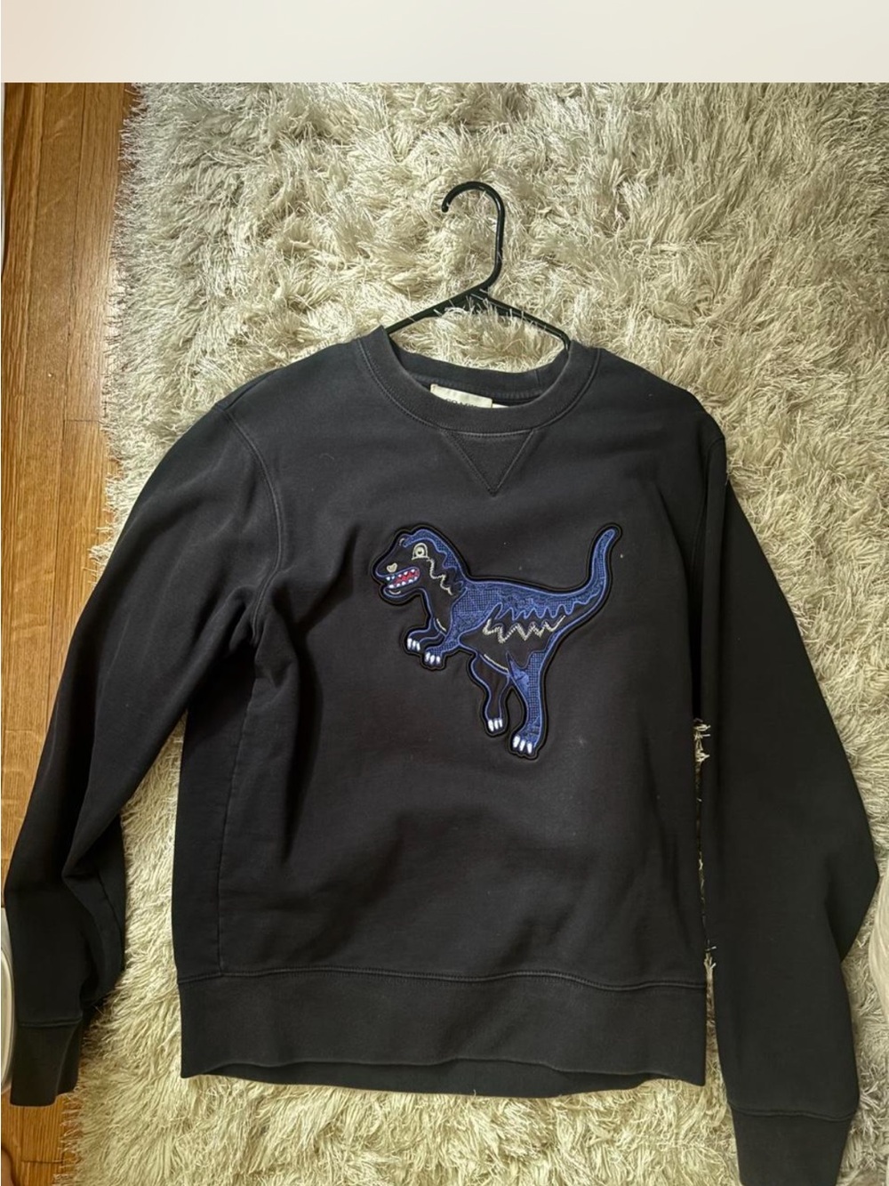 Coach 1941 REXY embroidered sweatshirt